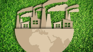 Photo of Экологические услуги в РФ: профессиональный подход к охране природы и соблюдению законодательства